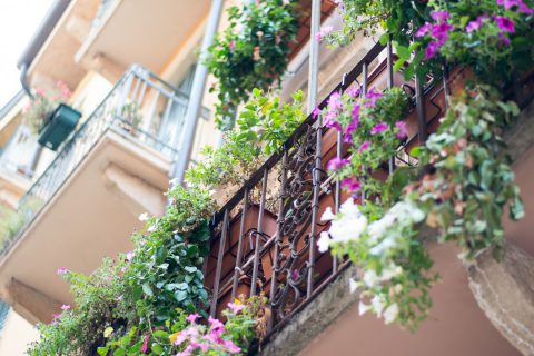 5 conseils pour fleurir son balcon