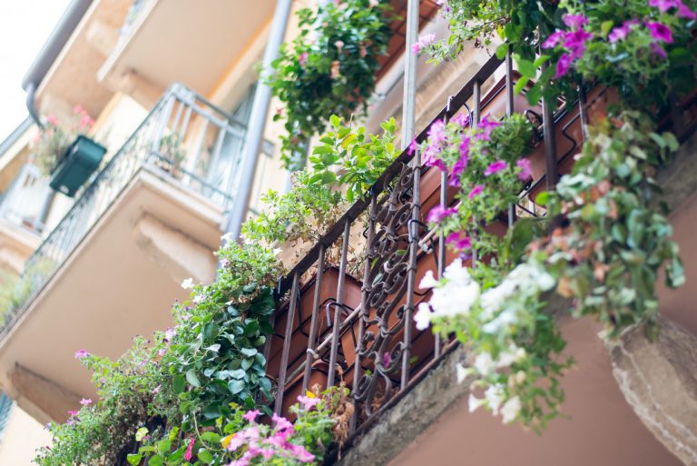 5 conseils pour fleurir son balcon